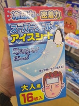 奥田 スーパークールアイスシート大人用 16P