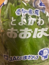 JAひまわり おおばバラ 1P