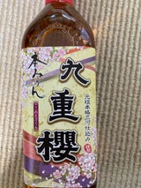 九重味淋 九重櫻 壜 500ml