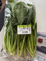 かさい こまつな 200g