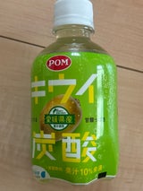 えひめ飲料 アキュアメイド キウイ炭酸 280ml