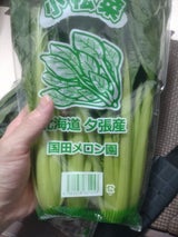 アスパック 国田メロン園 小松菜