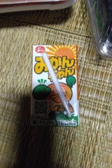 ジューシー みかんちゃん 125ml