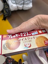 尾西食品 ライスクッキー 6g×8枚