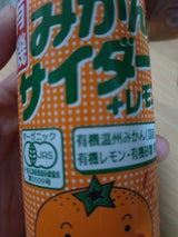 光食品 みかんサイダー+レモン 缶 250ml