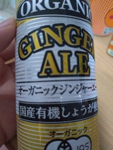 光食品 OGジンジャーエール 缶 250ml
