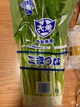 ホリアキ こまつな 1P