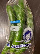 JA秋田 きゅうり