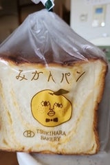 月原ベーカリー みかんパン 6枚