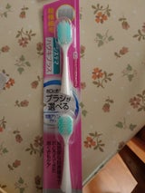 電動アシストシステマハグキPやわらかめ 付替 2本