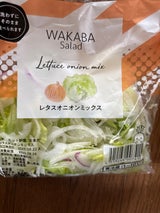 わかば そのまま野菜レタスオニオンMIX 110g