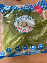 バイテック 秋田県産フリルレタス 100g