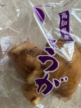 山田 高知県産生姜 1P