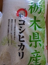 坂本 フレッシュ米 栃木県産 コシヒカリ 5kg