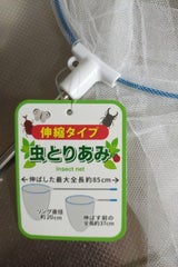 日本パール加工 虫とり網 伸縮タイプ