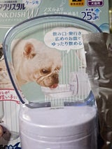 GEX ピュアクリスタル ドリンクディッシュW