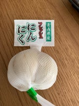 東京フード 青森産にんにく AL