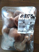 マッシュ櫛渕 しいたけ