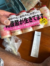 クロレラ 生てる乳酸菌 10P