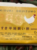 木次 平地飼い有精卵 6個