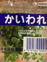 JA大阪泉州 かいわれ大根