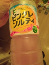 おいしい水 ピングレソルティ PET 600ml