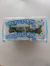 中野農園 ブロッコリースプラウト