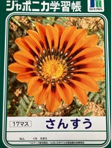 学習帳 算数17マス  JL-2