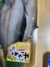 橋本 干しカレイ 1P