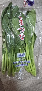 JA鹿児島 小松菜