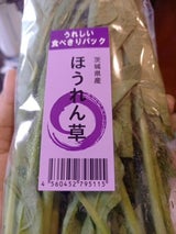 ニチノウ ほうれんそう 茨城県産