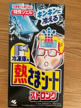 冷凍庫用 熱さまシートストロング 大人用 12枚