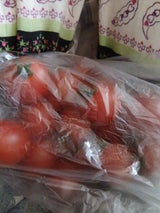 JA岡山 ミニトマト