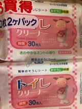 ペーパテック ミントトイレクリーナー 2P