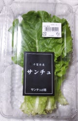 光洋 サンチュ FTH820