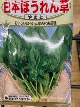 ほうれん草 40mg