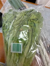 JAいしのまき グリーンカール 1P