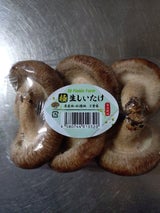 テンフィールズ なましいたけ 菌床生椎茸 100g