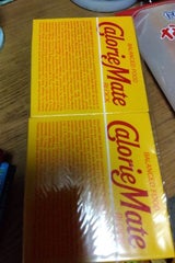 カロリーメイトブロックチョコ味 カートン 800g