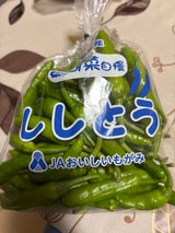 JAもがみ ししとう 200g