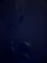 オーバーシーズ ハニーローストピーナッツ 227g