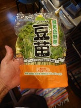 井澤 スプラウト豆苗 1P