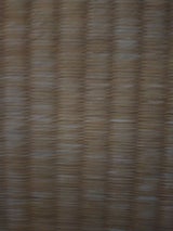 ニチレイ ハッシュドポテト 631g