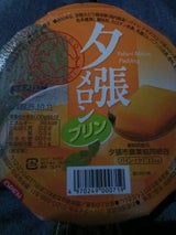 岡崎 夕張メロンプリン 300g