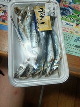 三宅水産 カタクチイワシBB