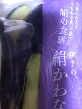 守屋 絹かわ茄子 6切 150g