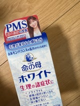 命の母ホワイト 360錠