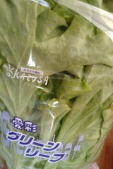 アグリアドバンス グリーンスパン 1P