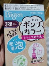 ビゲン ポンプカラー3RB 替 105ml