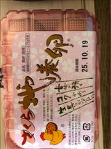 全国地養卵 さくら自養卵 6個